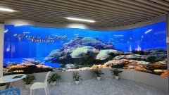 展廳機器人