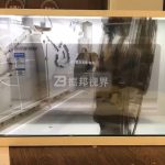 透明LED屏制作方案在優(yōu)化用戶體驗方面具備哪些創(chuàng)新優(yōu)勢？